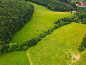 Prodej louky, Staré Hutě, 11031 m2