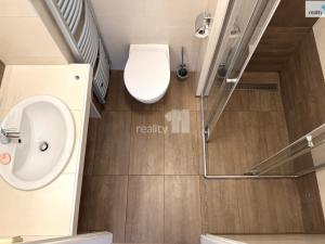 Pronájem bytu 1+1, Praha - Vinohrady, V Horní Stromce, 48 m2