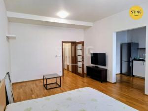 Pronájem bytu 2+kk, Brno, Hrnčířská, 43 m2