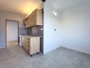 Pronájem bytu 1+1, Chomutov, Písečná, 42 m2