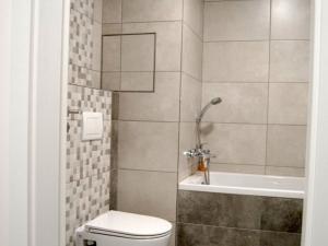 Pronájem bytu 1+kk, Plzeň - Jižní Předměstí, Goldscheiderova, 39 m2