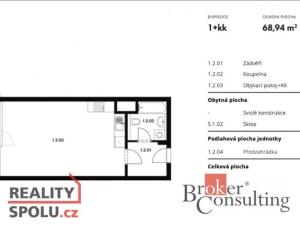 Pronájem bytu 1+kk, Plzeň - Jižní Předměstí, Goldscheiderova, 39 m2