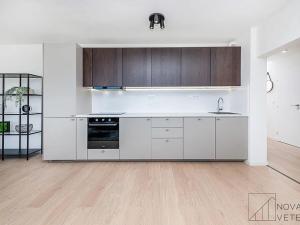 Prodej bytu 4+kk, Praha - Žižkov, U kněžské louky, 88 m2