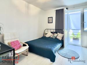 Pronájem bytu 1+kk, Praha - Vinohrady, náměstí Jiřího z Lobkovic, 32 m2