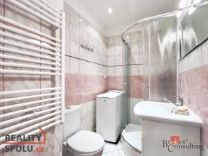Pronájem bytu 1+kk, Praha - Vinohrady, náměstí Jiřího z Lobkovic, 32 m2