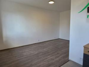 Pronájem bytu 2+kk, Tisová, Tisová, 41 m2