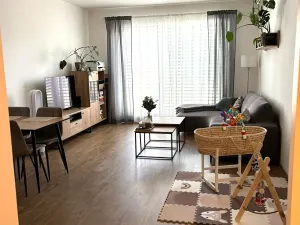 Pronájem bytu 2+kk, Olomouc, Dolní novosadská, 64 m2