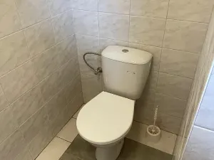 Pronájem rodinného domu, Lázně Bohdaneč, Dr. Tyrše, 100 m2