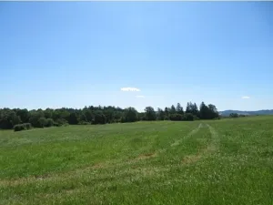 Prodej pole, Kolinec, 75440 m2