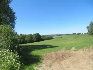 Prodej lesa, Kolinec, 75440 m2