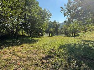 Prodej pozemku pro bydlení, Předklášteří, Šikulova, 1123 m2