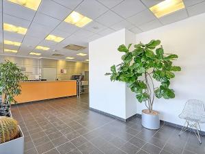 Pronájem kanceláře, Praha - Chodov, Hráského, 350 m2