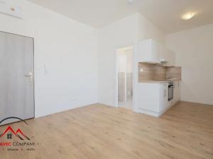 Pronájem bytu 1+kk, Ostrava, Palackého, 21 m2