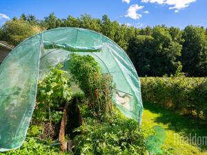 Prodej zemědělské usedlosti, Lhenice - Hrbov, 170 m2