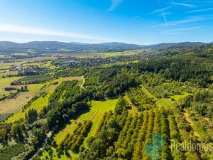 Prodej zemědělské usedlosti, Lhenice - Hrbov, 170 m2