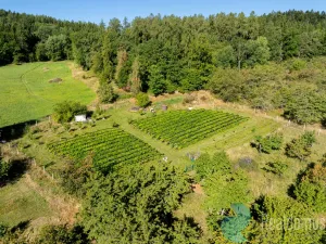 Prodej zemědělské usedlosti, Lhenice - Hrbov, 170 m2