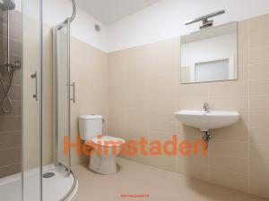 Pronájem bytu 2+kk, Havířov - Šumbark, U Nádraží, 38 m2