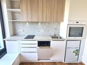 Pronájem bytu 1+kk, Brno, Rostislavovo náměstí, 23 m2