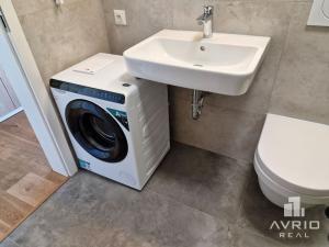Pronájem bytu 1+kk, Brno, Rostislavovo náměstí, 23 m2