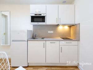 Pronájem bytu 1+kk, Praha - Vinohrady, Varšavská, 26 m2