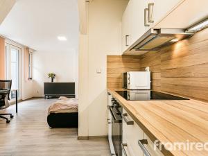Pronájem bytu 1+kk, Brno - Pisárky, Hlinky, 30 m2