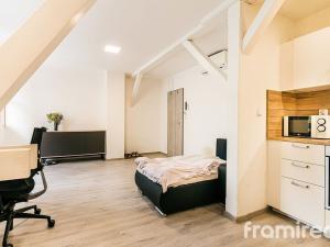 Pronájem bytu 1+kk, Brno - Pisárky, Hlinky, 30 m2