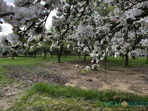 Prodej pozemku pro bydlení, Bílé Poličany, 2980 m2