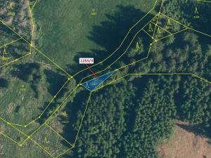 Dražba lesa, Černíkov, 112 m2
