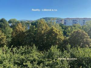 Pronájem bytu 2+1, Ústí nad Labem - Severní Terasa, Pod Parkem, 63 m2