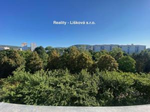 Pronájem bytu 2+1, Ústí nad Labem - Severní Terasa, Pod Parkem, 63 m2