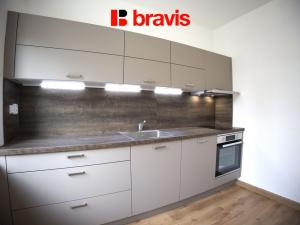 Pronájem bytu 1+1, Brno - Veveří, Cihlářská, 47 m2