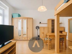 Pronájem bytu 1+kk, Brno, Spolková, 33 m2