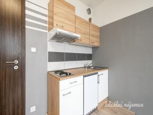 Pronájem bytu 1+kk, Praha - Dolní Měcholupy, Honzíkova, 28 m2