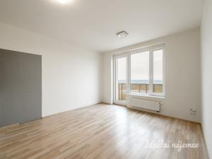 Pronájem bytu 1+kk, Praha - Dolní Měcholupy, Honzíkova, 28 m2