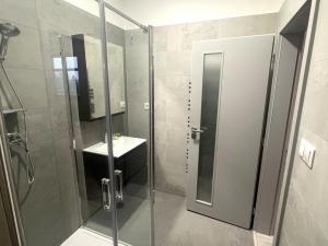 Pronájem bytu 1+kk, Tábor, Kpt. Jaroše, 45 m2