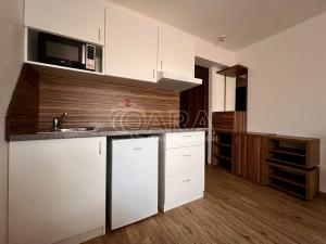 Pronájem bytu 1+kk, Brno, Křivánkovo náměstí, 21 m2