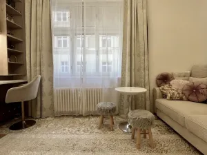 Pronájem bytu 1+kk, Ostrava, Střední, 26 m2