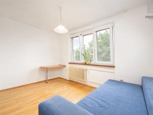 Prodej bytu 1+1, Brno, Mučednická, 46 m2