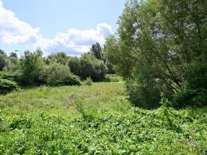 Prodej pozemku pro bydlení, Prosečné, 2236 m2