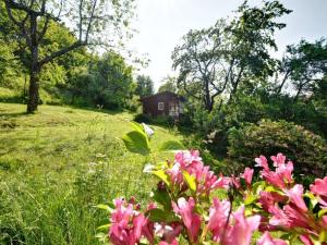 Prodej chaty, Vrchlabí, 13 m2