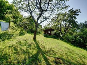 Prodej chaty, Vrchlabí, 13 m2