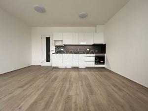 Pronájem bytu 1+kk, Brno - Horní Heršpice, Jižní, 36 m2