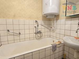 Prodej rodinného domu, Alojzov, 270 m2