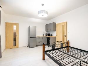 Pronájem bytu 1+kk, Praha - Žižkov, Biskupcova, 27 m2