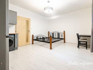 Pronájem bytu 1+kk, Praha - Žižkov, Biskupcova, 27 m2