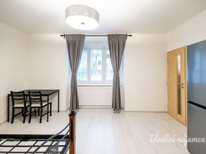 Pronájem bytu 1+kk, Praha - Žižkov, Biskupcova, 27 m2