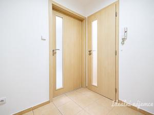Pronájem bytu 1+kk, Praha - Žižkov, Biskupcova, 27 m2