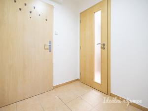 Pronájem bytu 1+kk, Praha - Žižkov, Biskupcova, 27 m2
