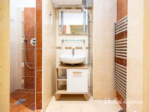 Pronájem bytu 1+kk, Praha - Žižkov, Biskupcova, 27 m2