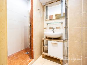 Pronájem bytu 1+kk, Praha - Žižkov, Biskupcova, 27 m2